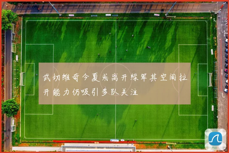 武切维奇今夏或离开绿军其空间拉开能力仍吸引多队关注